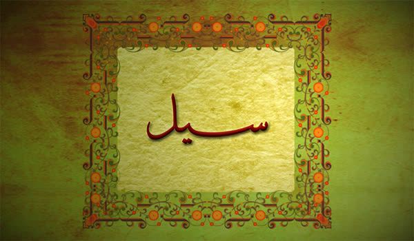 کلیدواژه: سیل