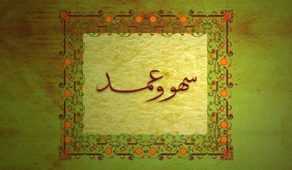 سهو و عمد