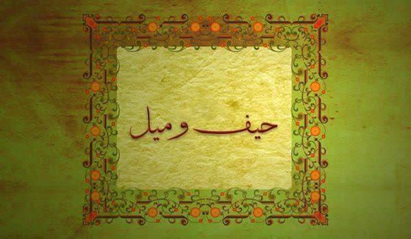 کلیدواژه: حیف و میل